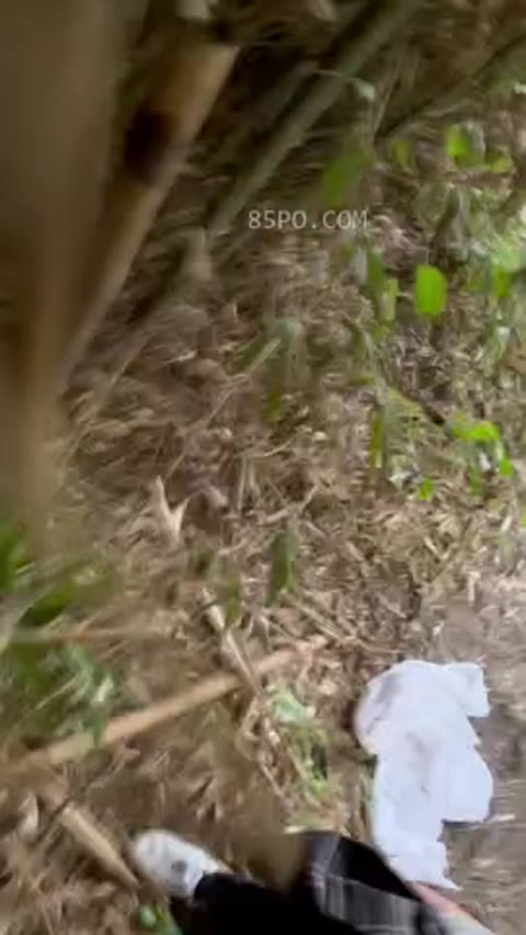 Hidden Cam Shower Cam Amateur 2024